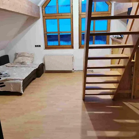 Haus Am Rand Des Harz