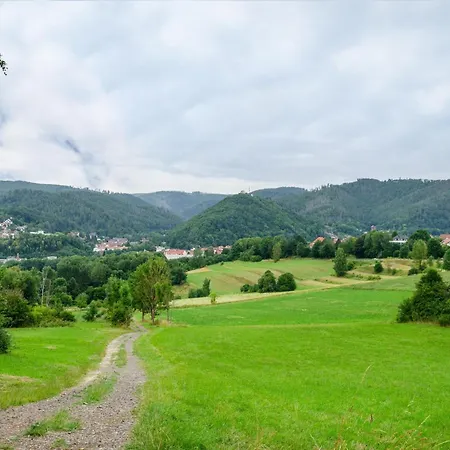 Haus Am Rand Des Harz